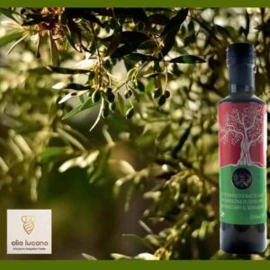 Rosemary Oil - Saluzzi Farm