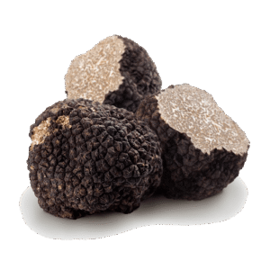 Summer Black Truffle/Scorzone (Tuber Aestivum Vittadini) 500g - Alain Stratta Tartufi
