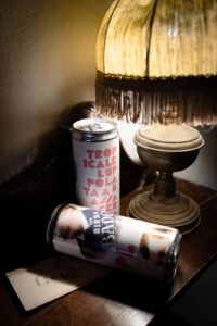 Indian Pale Lager IPL Can 10x33cl - Bader Beer